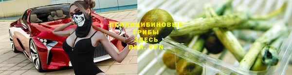 дживик Лихославль