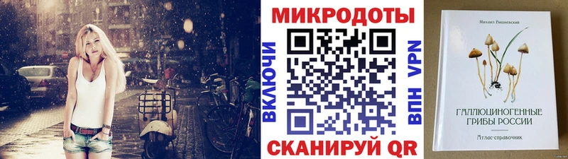 Галлюциногенные грибы Psilocybe  закладка  Навашино 